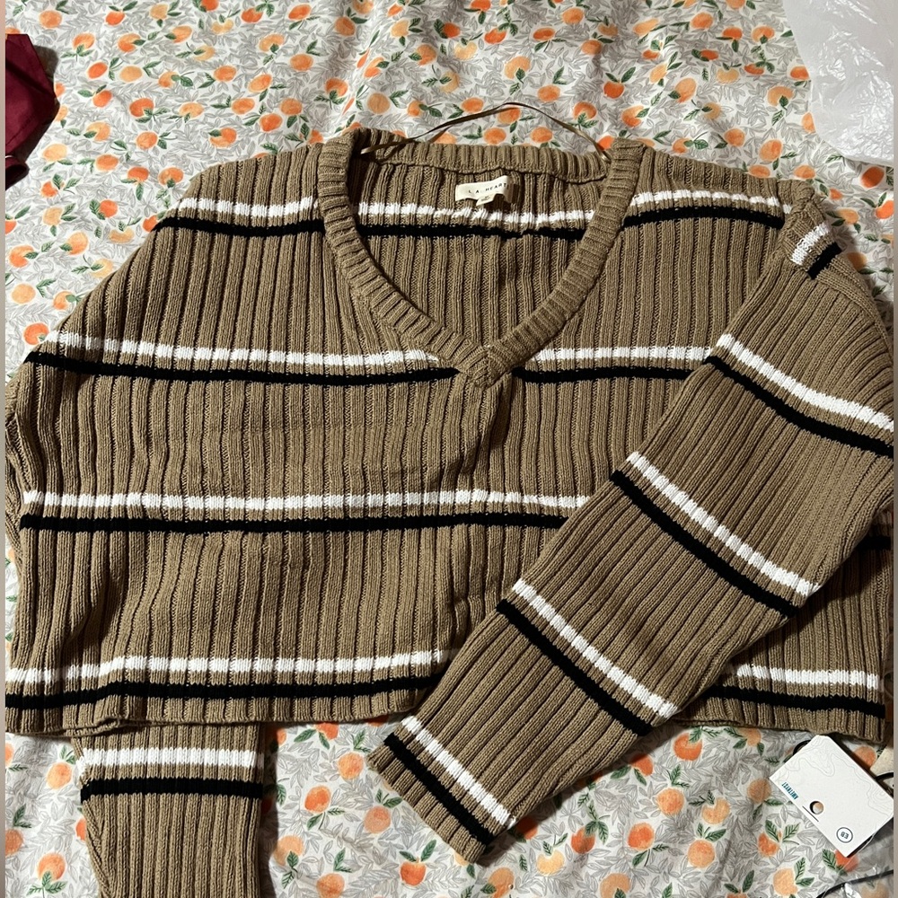 Pacsun long sleeve cropped sweater